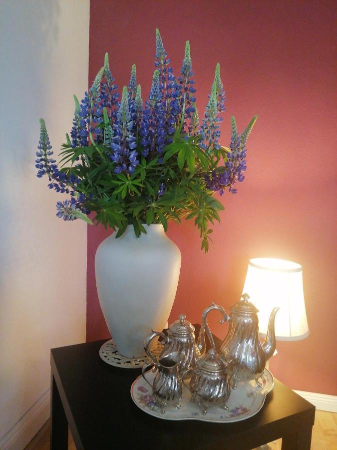 Bed&Breakfast Wagner "Im Alten Pfarrhaus" Neuruppin Luaran gambar